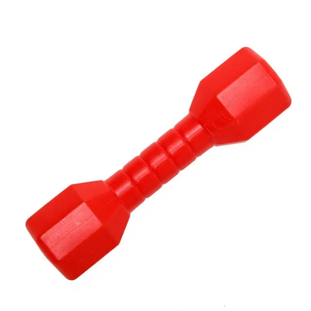 2 PCS Children Dumbell Plastic Fitness Equipment Kids Training Performance