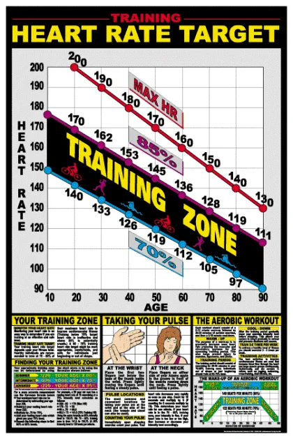 Algra Training Heart Rate Poster