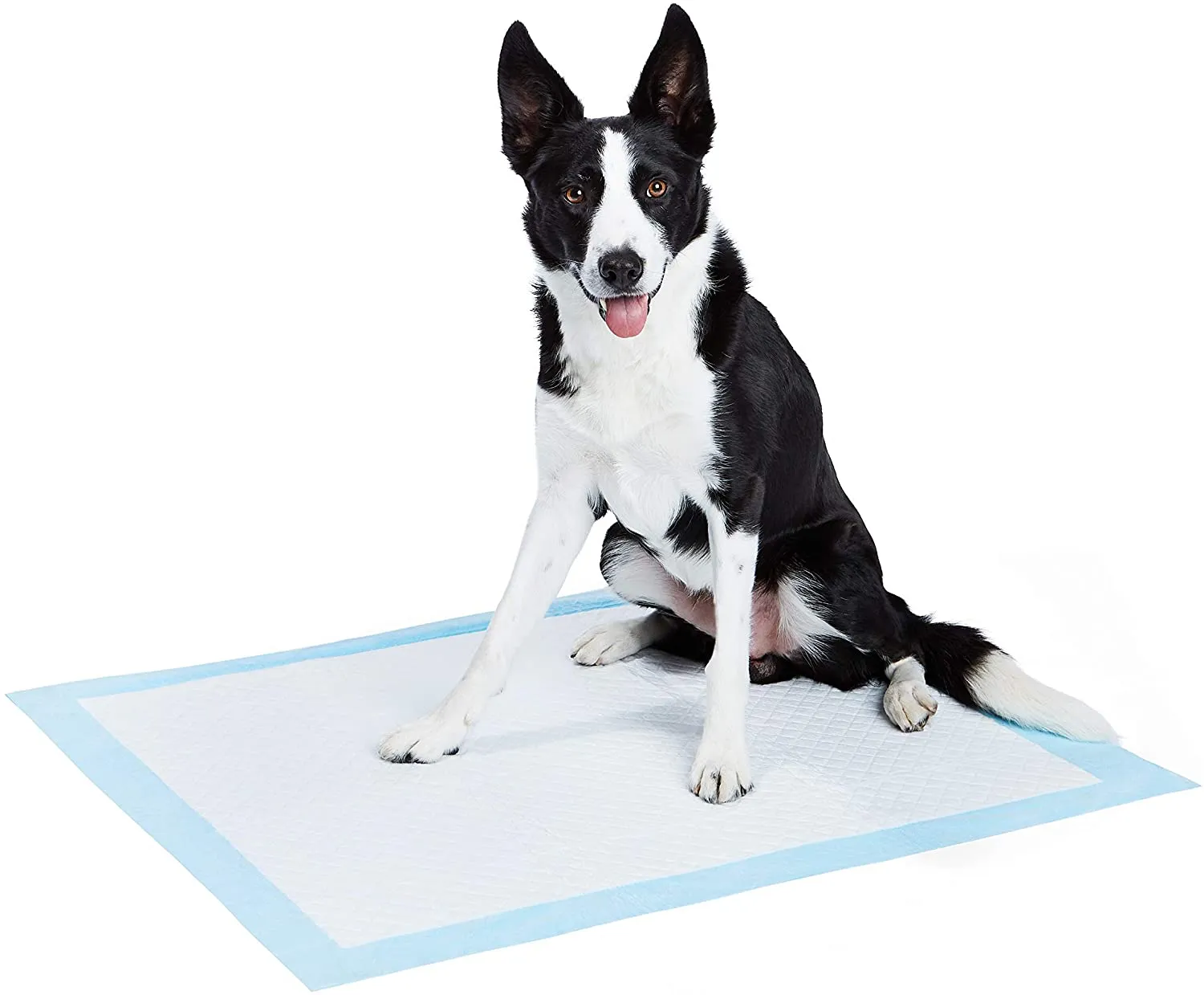 Dog and Puppy Potty Training Pads 45 x 60cm 50pc