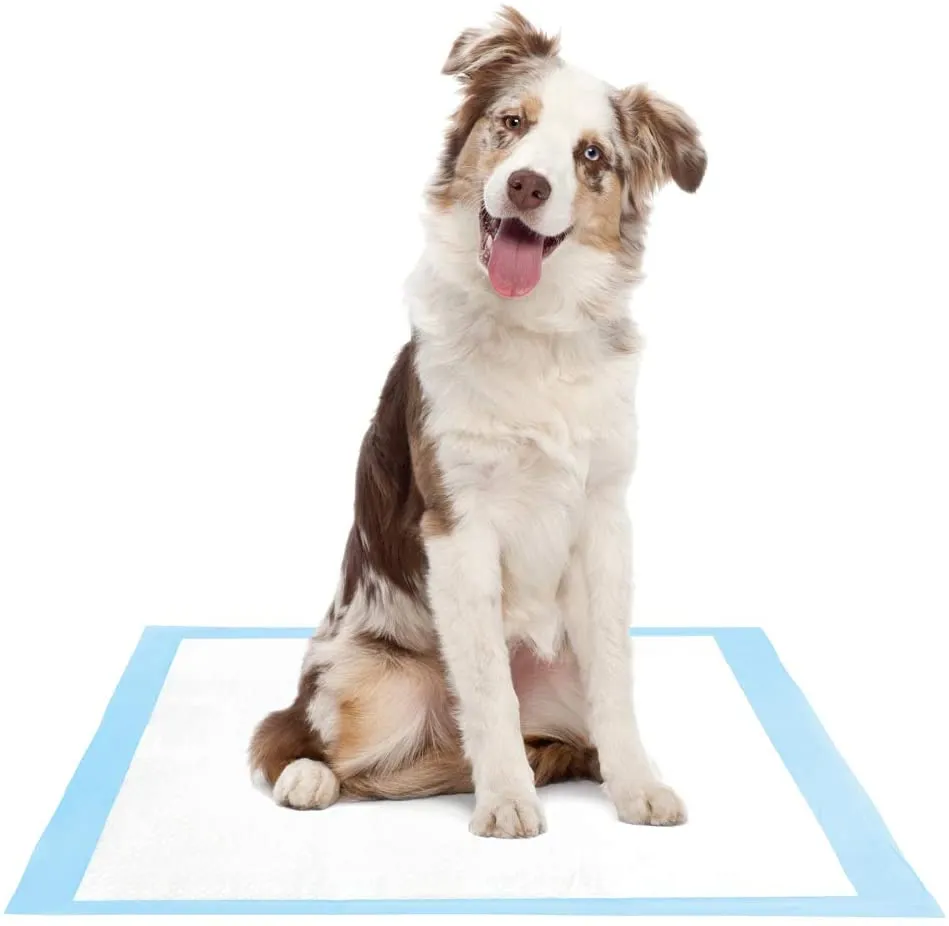 Dog and Puppy Potty Training Pads 60 x 60cm 40pc