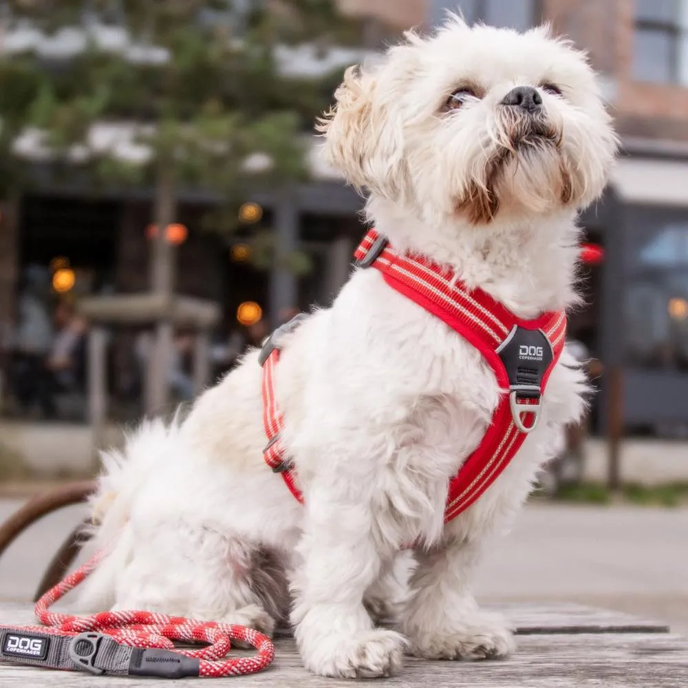 DOG Copenhagen Comfort Walk Air Dog Harness (Classic Red)