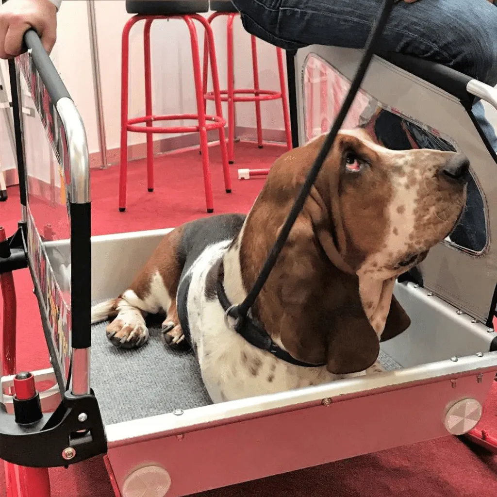 Doggy Tourer | Dog Bike Trailer | Snoopy | M