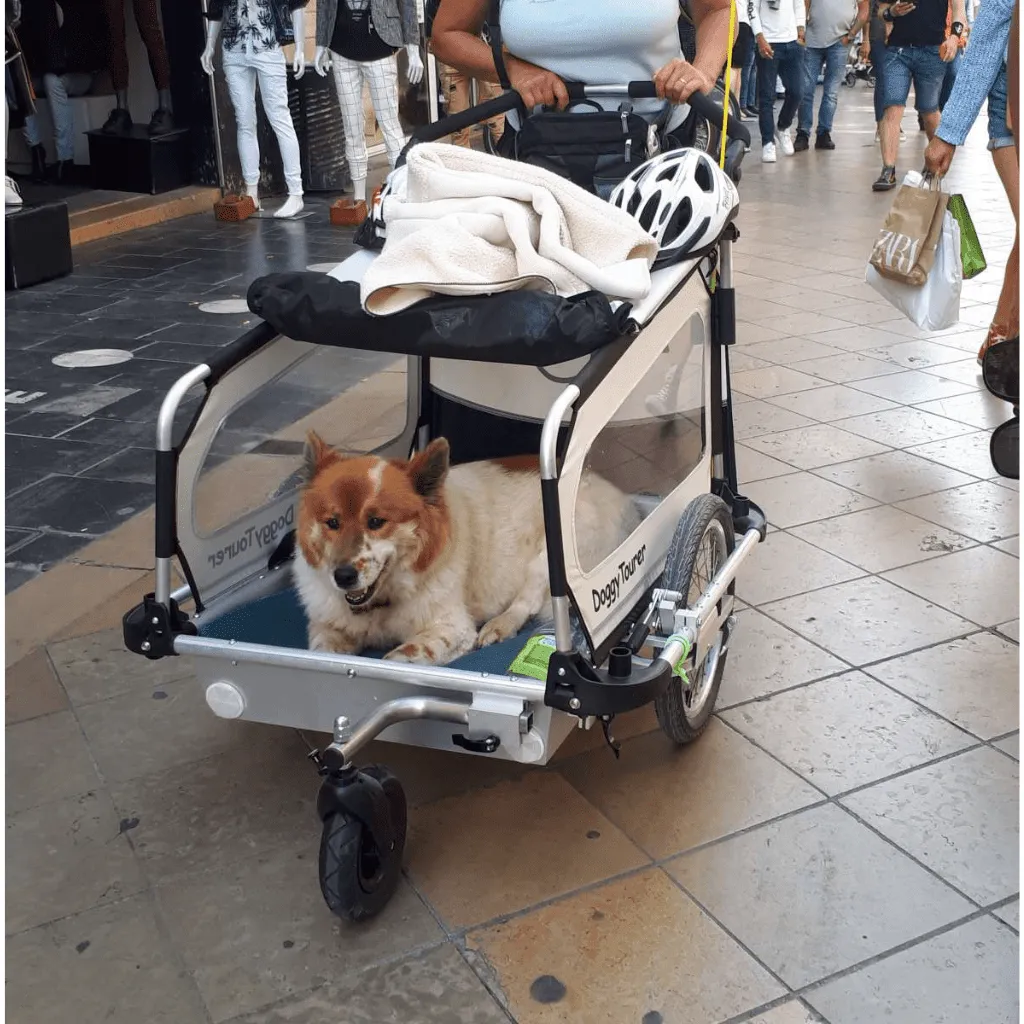 Doggy Tourer | Dog Bike Trailer | Snoopy | M