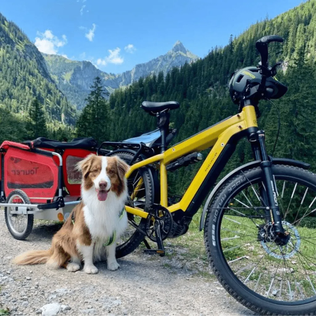 Doggy Tourer | Dog Bike Trailer | Snoopy | M