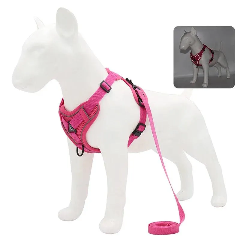 No Pull Dog Harness and Leash Set