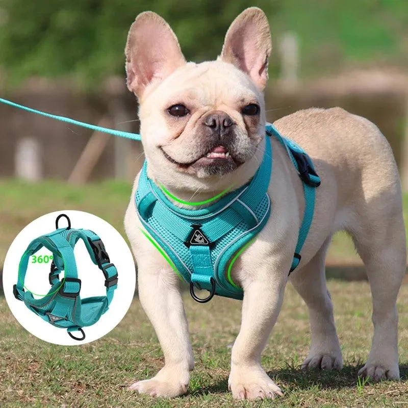 No Pull Dog Harness and Leash Set