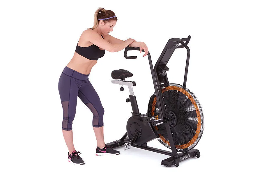 Octane Fitness AirdyneX Exercise Bike