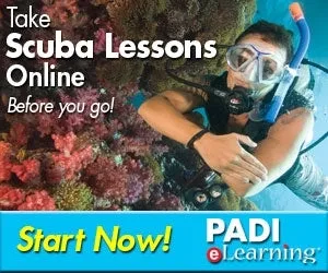 PADI Open Water Diver Course