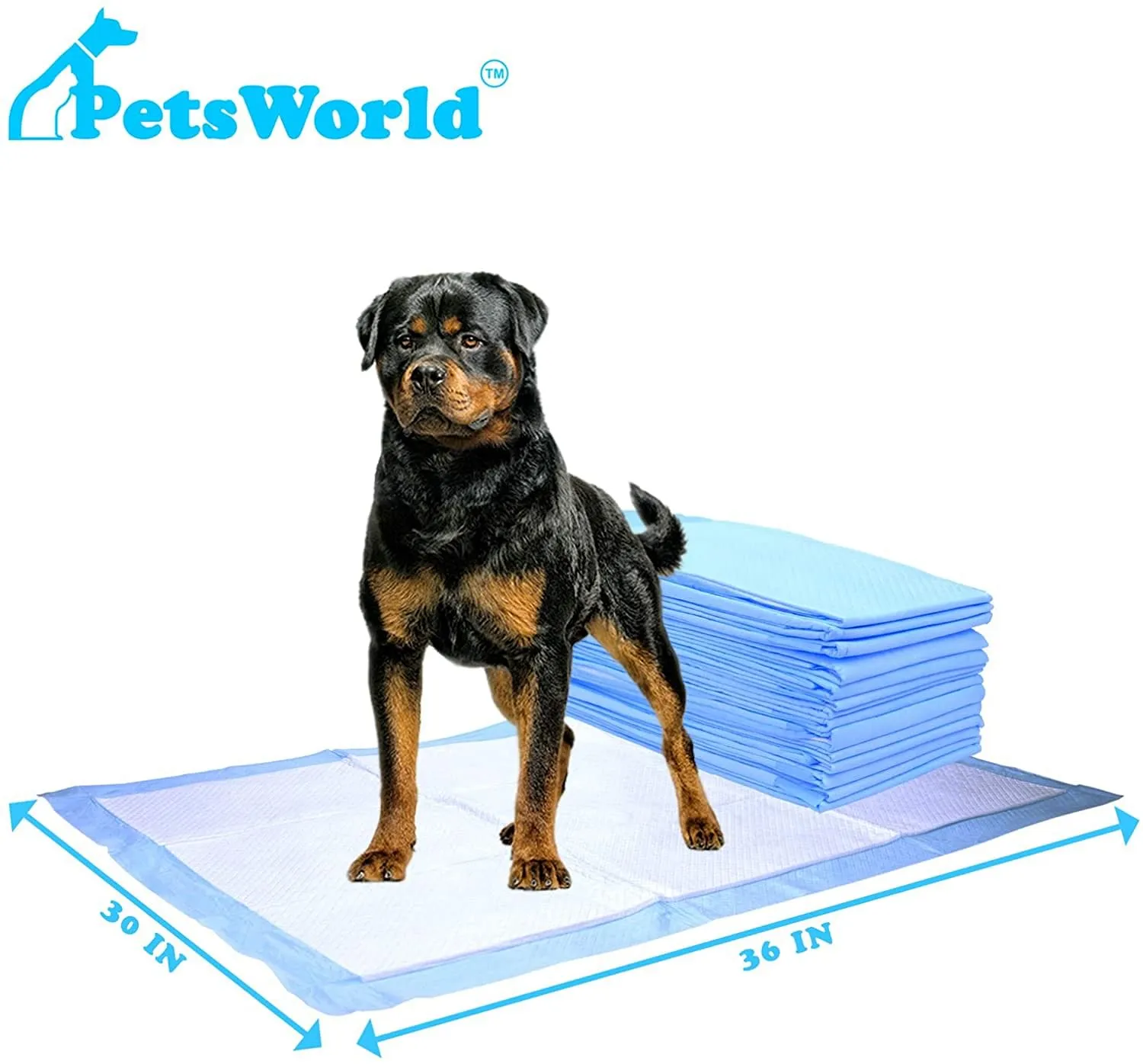 PetsWorld Extra Large (30x36 inch) Dog Training & Potty Pads