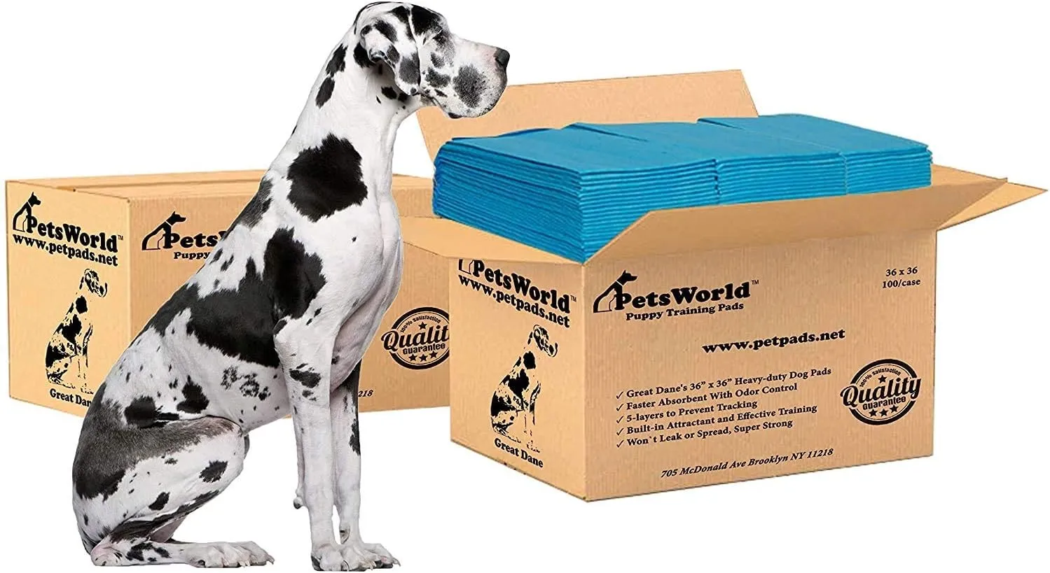 PetsWorld Gigantic (36x36 inch) Dog Training & Potty Pads