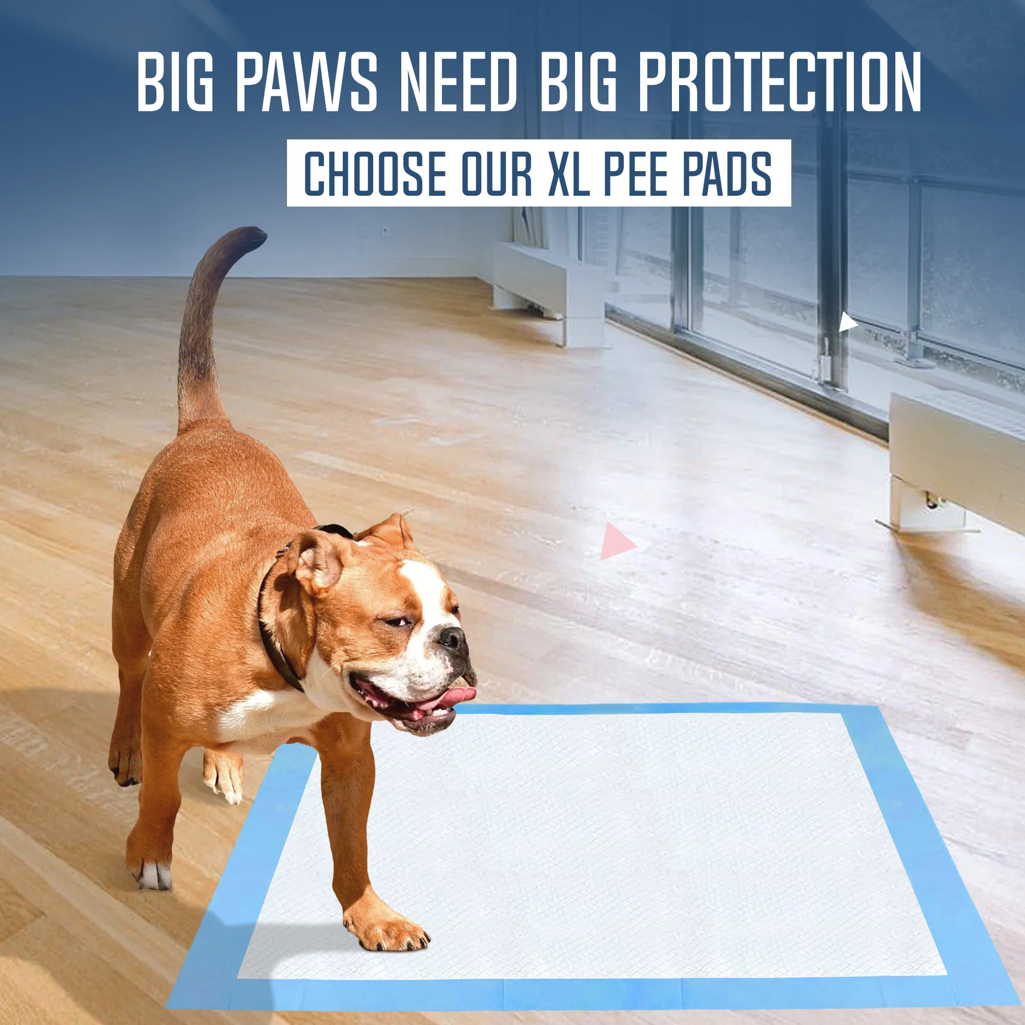 PetsWorld Gigantic (36x36 inch) Dog Training & Potty Pads