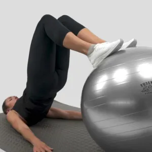 Silver Fitness Ball With Pump