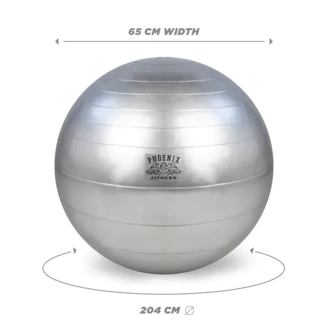 Silver Fitness Ball With Pump