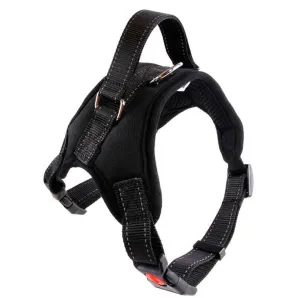 Solid Color Warm Soft Front Range Dog Harness