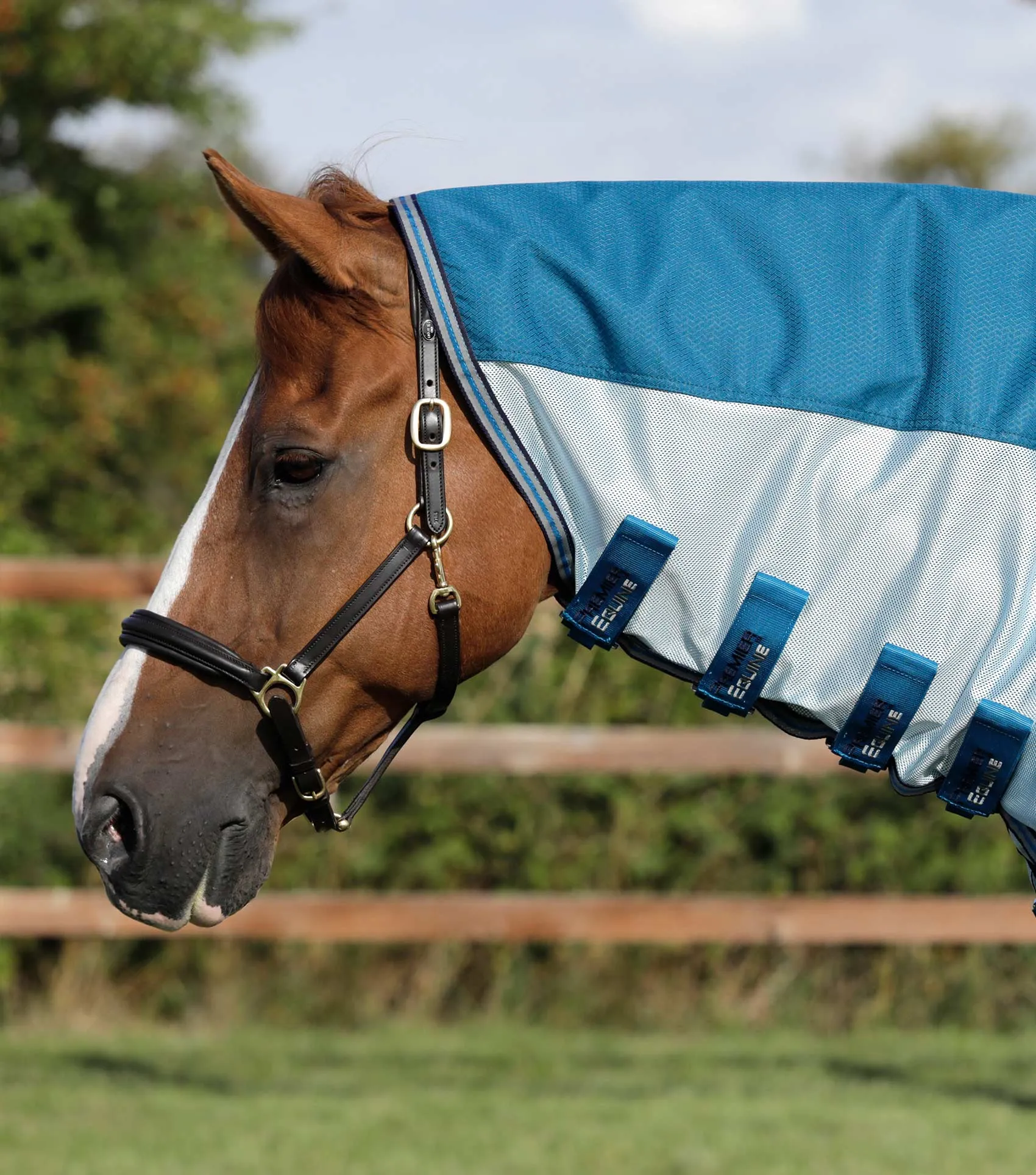 Stay-Dry Mesh Air Fly Rug with Surcingles Blue