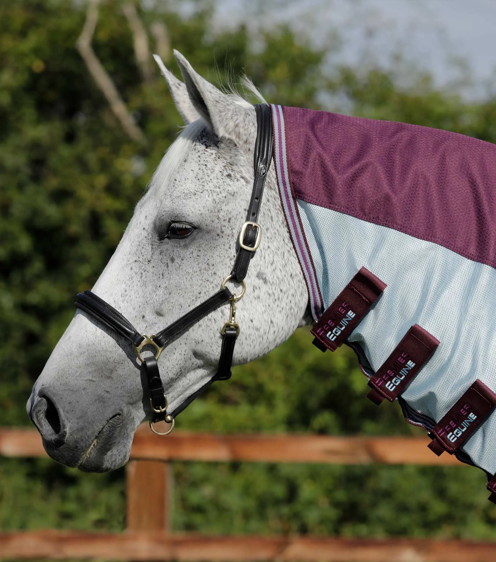 Stay-Dry Mesh Air Fly Rug with Surcingles Wine