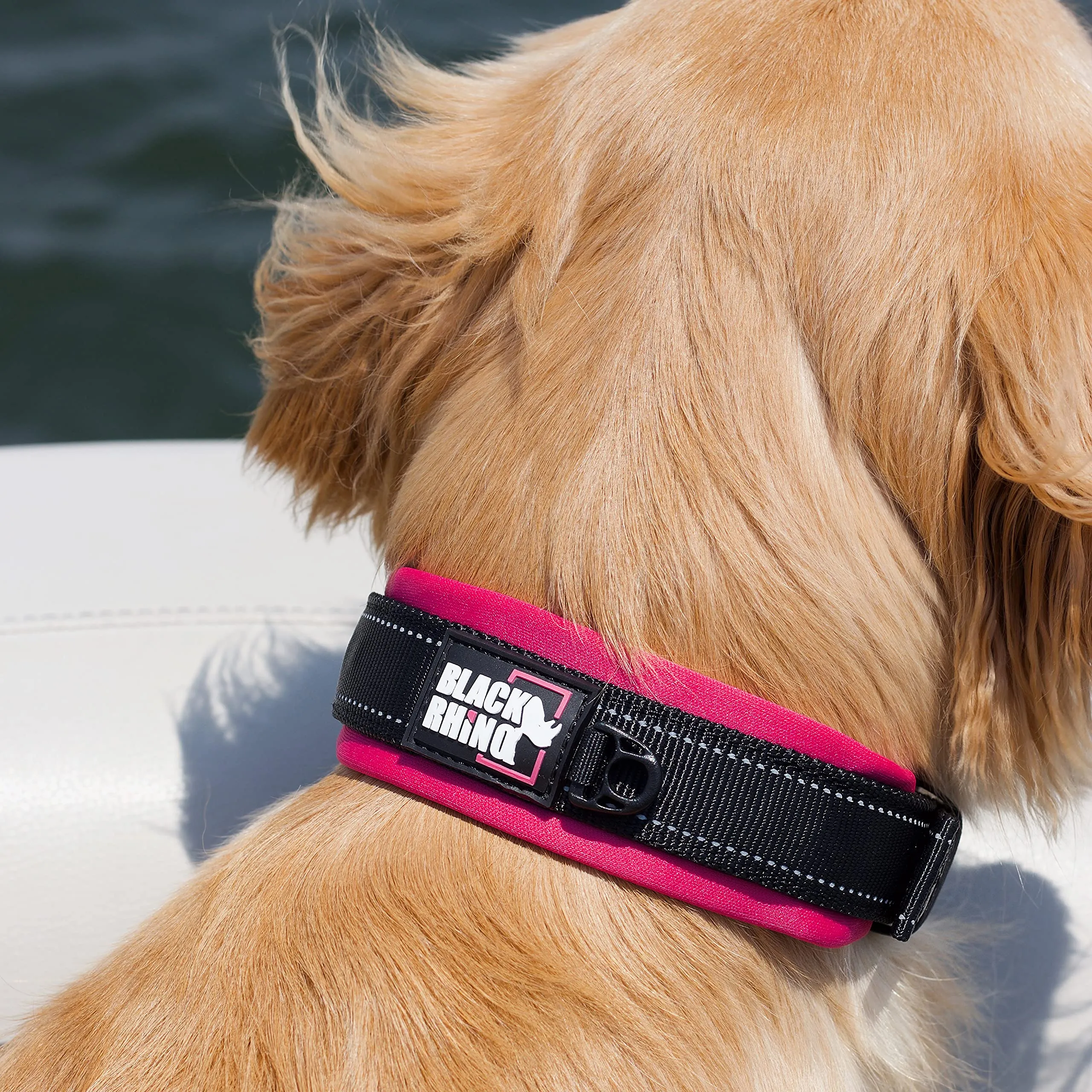 The Comfort Collar Ultra Soft Neoprene Padded Dog Collar For All Breeds