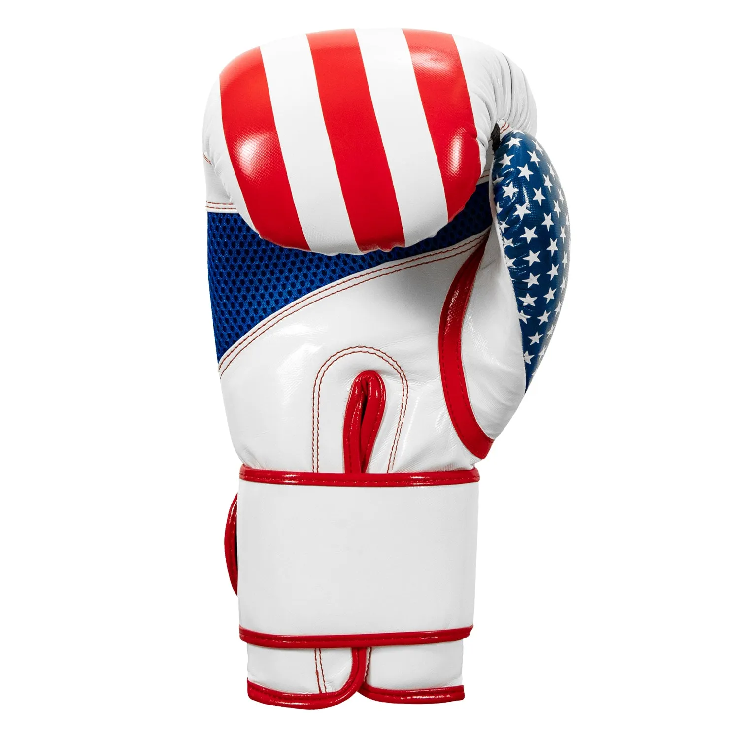 TITLE Boxing Infused Foam Combat USA Training Gloves