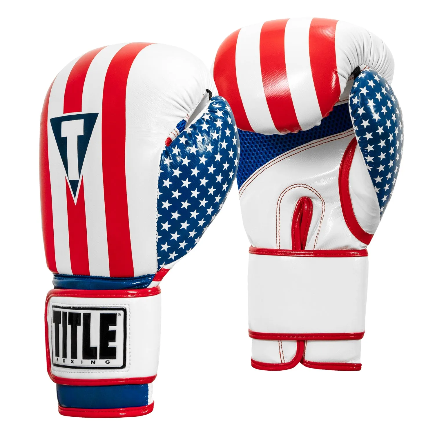 TITLE Boxing Infused Foam Combat USA Training Gloves