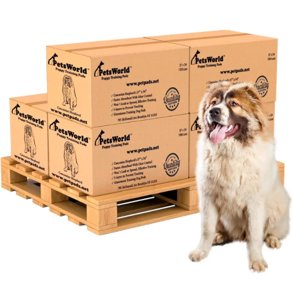 Wholesale XXXL Pet Training Pads: Tear-Resistant & Leak-Proof