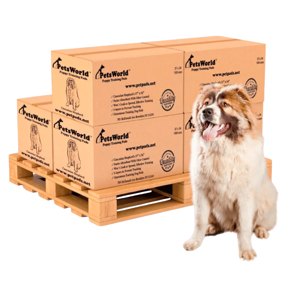 Wholesale XXXL Pet Training Pads: Tear-Resistant & Leak-Proof