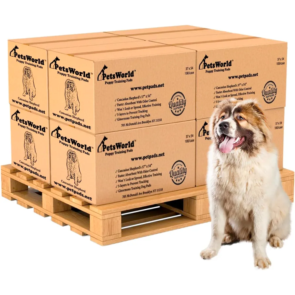 Wholesale XXXL Pet Training Pads: Tear-Resistant & Leak-Proof